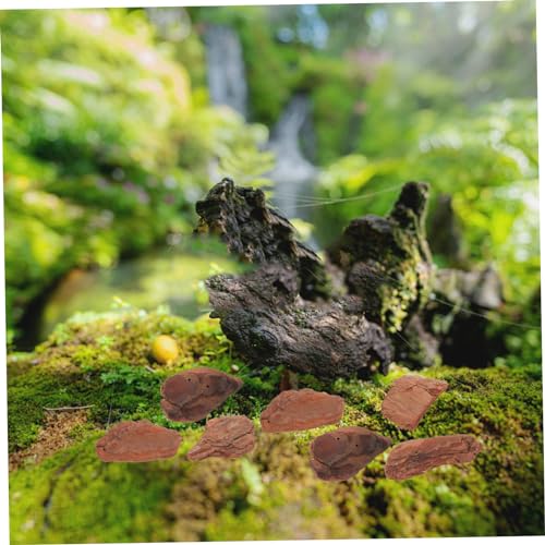 WOONEKY 1bag Reptile Bark Bedding Bark Chips for Reptiles Natural Tree Decor Terrarium Substrate Lizard Bedding Chips Tank Decor