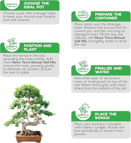 Bonsai Soil Mix Ready to use Tree kit Lotus Seeds for Planting in Water Bonsai pots Wire Tree pots akadama Soil - color: Bonsai Soil