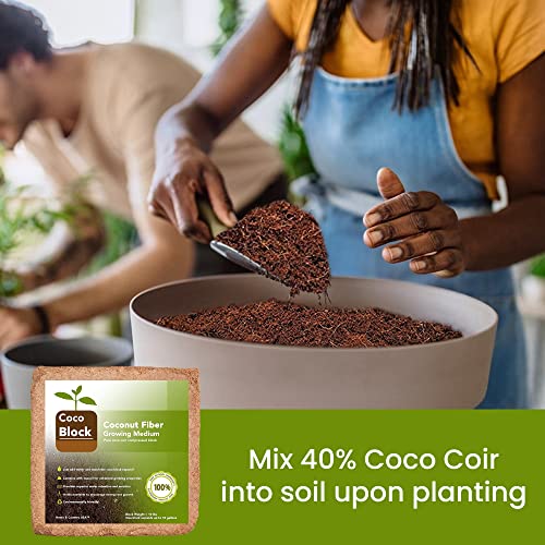 Home and Country Triple Washed Compressed Coco Coir Brick (20 LBS) - Coco Fiber is an Ideal Compost Starter for Your Home Garden. Coco Coir Bricks Provide Organic Alternative to Peat Moss for Plants. - size: 20 Pound