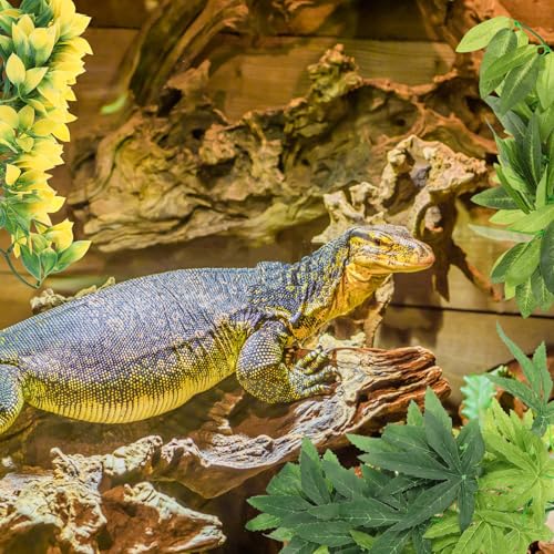 DOITOOL 3pcs Reptile Tank Decorative Artificial Plants with Suction Cups, Lifelike Fake Leaves Ornament Set for Terrarium Environment Decoration