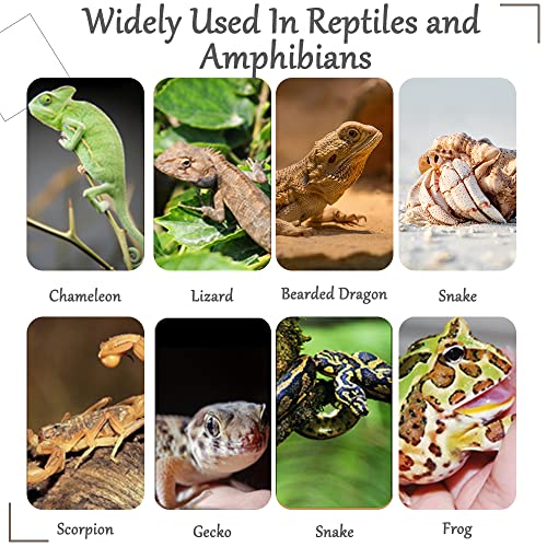 Hamiledyi Reptile Plants Bendable Jungle Climbing Vine Terrarium Branch Flexible Plastic Leaves Hanging Pet Habitat Decoration for Bearded Dragon Lizard Gecko Frog Snake Tank Accessories Decor - size: 3 PCS - Style 1