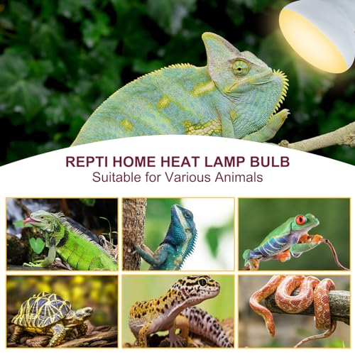 150W Reptile Heat Lamp Bulb,Basking Spot Lamp Bulb for Reptiles & Amphibians，Reptile Daylight Heat Bulb for Bearded Dragon, Lizard, Turtle - size: 150*1