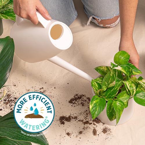 Back to the Roots 100% Organic Indoor Potting Mix (6 Quart), Promotes Healthy Houseplant Growth, Made in The USA - size: 6 Quart, style: Indoor Soil