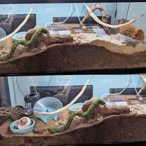 2 Pack 17.7" Hermit Crab Climbing Toys, Hanging Hermit Crab Rope Ladder, Hermit Crab Supplies, Reptile Vines Toys, Reptile Tank Terrarium Accessories, Habitat Decor for Leopard - size: 17.7 Inch