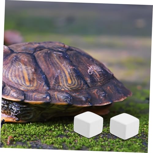 balacoo 6pcs Natural Mineral Block for Reptiles and Crustaceans Essential Snack for Aquariums Prolonged Mineral Release Safe and Health for Lizards and Crabs