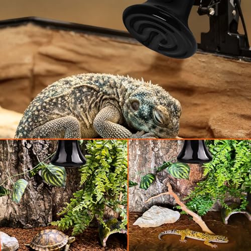 BNOSDM Reptile 75W Ceramic Heat Emitter,4 Pack Reptile Heat Lamp Bulbs,Ceramic Heat Lamp,Brooder Coop Heater for Amphibian Reptile Lizard Turtle Chicken - color: Pack of 4/Black, size: 75 Watts