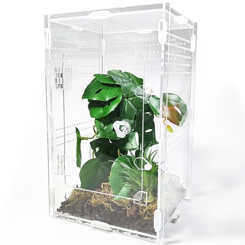 Acrylic Jumping Spider Enclosure Large 6”x6”x10” with Front Door, Arboreal Tarantula Enclosure, Praying Mantis Habitat for Spider, Mantis, Snail, Tarantula, Isopods, Beetles, Millipedes