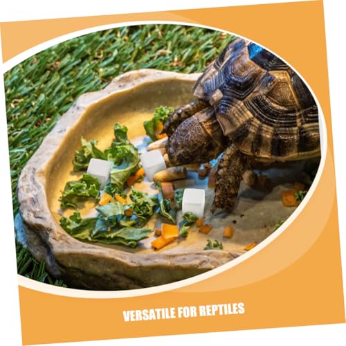 30pcs Natural Mineral Calcium Block for Reptiles and Amphibians Supports Growth and Dental Health for Tortoises Turtles Frogs Lizards Chameleons Provides Essential Trace Elements