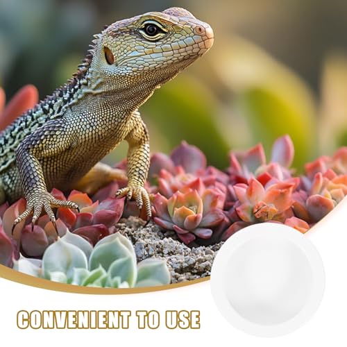 Reptile Feeding Bowls Round Shape 2 Pcs Ceramic Stable Desktop Standing, Anti-Escape Design Feeding Dish for Water and Food for Small Lizards and Reptile Animals