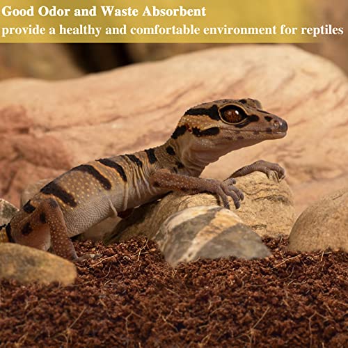 ZeeDix 6 Pack Coconut Fiber Substrate, 100% Organic Coconut Husk Coco Coir Brick Terrarium Bedding for Reptiles, Tortoise, Bearded Dragon, Leopard Gecko, Snake, Hermit Crabs, Frogs, Tarantula - color: 6pcs