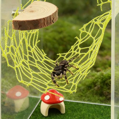 Jumping Spider Accessories Kit – 5 Pcs Set with Mushroom Platforms, and 1 Spider Webs for Climbing, Feeding, and Decorating