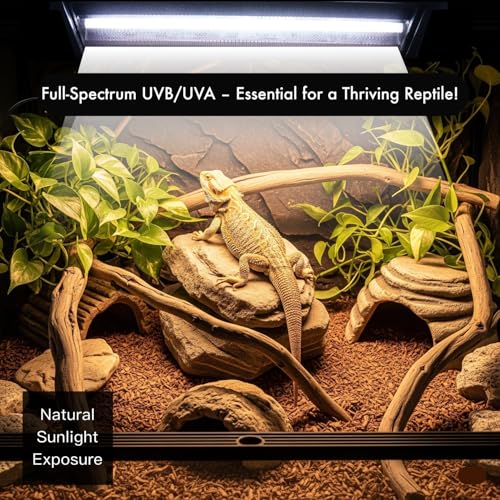 T5 HO UVB Reptile Light Kit – High-Output 24W 10.0 UVB for Reptiles – Liner UVB Light Ideal for Bearded Dragons, Tortoise & Lizard, T5 UVB Light Fixture and Bulb - size: 24W UVB10.0 T5 KIT