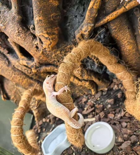 Natural Reptile Vines for Climbing, Jungle Vine for Terrarium Tanks, Reptile Branches for Chameleon, Gecko, Snake, Lizard - color: Brown