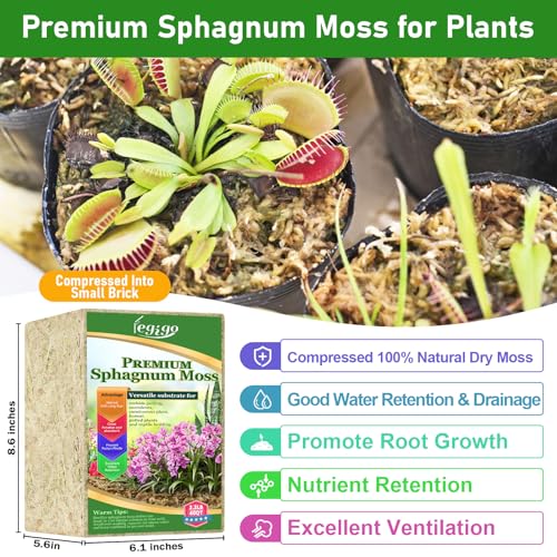Legigo 2.2lb Natural Sphagnum Moss for Plants, 40QT Long Fiber Orchid Moss Potting Mix, Dried Sphagnum Moss for Plants Indoor, Orchid Repotting, Succulent, Carnivorous Plants, Terrarium and Reptiles - size: 2.2lb