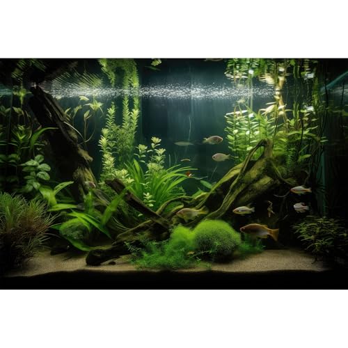 Underwater Aquarium Background Lush Green Diverse Aquatic Plants with Sunbeams Fish Tank Background Underwater Stone with Moss Tropical Fish Rooted Species Terrarium Background Vinyl 24x16in - color: Dark Green, size: 24(W)x16(H)in