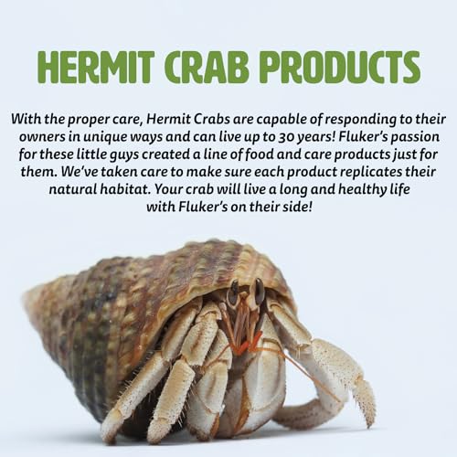 Fluker's Corner Rock Bowl, Food & Water Dish for Hermit Crabs, Small 4" - size: Small