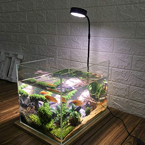 LED Aquarium Light for Under 5 Gallon Fish Tank,360 Degree Full Spectrum LED Light with Bamboo Board 10W Nano Fish Tank Light USB Powered Bett a Fish Tank Light for Plant Growth - size: 10w l / 10.62x11.22inch