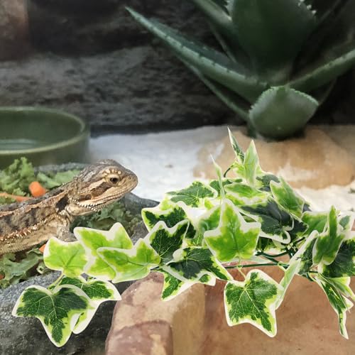 DOITOOL Artificial Reptile Plants Hanging Vine with Suction Cup, Lifelike Amphibious Habitat Decor for Turtle and Reptile Terrariums, Simulated Climbing Leaf Pendant for Aquarium