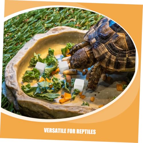 BESPORTBLE 30pcs Natural for Reptiles and Amphibians and Growth for Tortoise Turtle Lizard Frog and Chameleon Enrich Water Quality and Strengthen Immunity