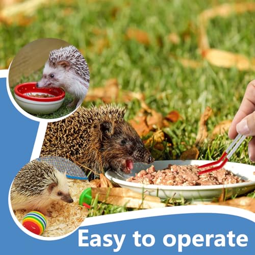 Mini Dustpan and Brush, Reptile Scoop Feeding Tool, Stainless Steel Straight Tweezers and Curved Tweezers for Reptiles, Hamsters, Hedgehogs, Rats, Guinea Pigs, Lizards and Other Small Animals(Black)