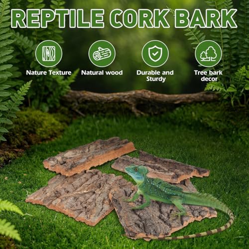 NUOBESTY 4Pcs Reptile Bark Climbing Platform Natural Tree Bark Reptile Decor for Snake Hide Lizard Terrarium Decor Small Pet Habitat Accessory 5.11 X 1.49 X 0.39 in