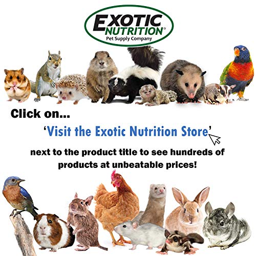 Hibiscus Flower Treat (1oz)- Healthy Natural Dried Flower Herbivore Treat - Chinchillas, Guinea Pigs, Rabbits, Prairie Dogs, Degus, Hamsters, Rats, Squirrels, Sugar Gliders & Other Small Pets - size: 1 Ounce (Pack of 1)