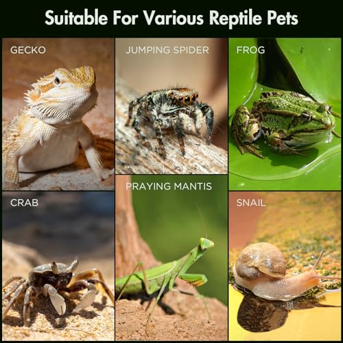 Pre-Assembled Jumping Spider Enclosure, Acrylic Terrarium with Magnetic Door & All-Side Ventilation, Habitat for Spiderling, Mantis, Tarantula, Snail (5"×5"×10") - size: Large Vertical (5"×5"×10")