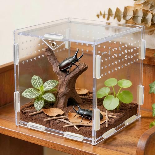 Portable Travel Jumping Spider Enclosure, Acrylic Terrarium for Spider, Magnetic Lock Spider Habitat & Small Terrarium Ventilated for Tarantula,Mantis,Frog,Insect Enclosure cage(5.9×5.9×5.9 Inch) - size: 5.9×5.9×5.9 Inch