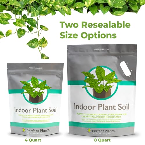 Perfect Plants Indoor Plant Soil 8qt | Perfectly Balanced Potting Mix | Gardening Substrate for All Varieties of Live houseplants (Pack of 2) - size: 8qts. (Pack of 2)