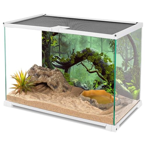 AWERT 72x24 inches Foggy Forest Terrarium Background Stone Green Tree Tropical Reptile Habitat Background Rainforest Aquarium Background Durable Polyester Background - size: 72x24in/180x60cm