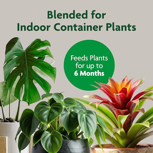 Miracle-Gro Indoor Potting Mix, Blended for a Variety of Houseplants, Feeds for up to 6 Months, 6 qt. - size: 6 qt.