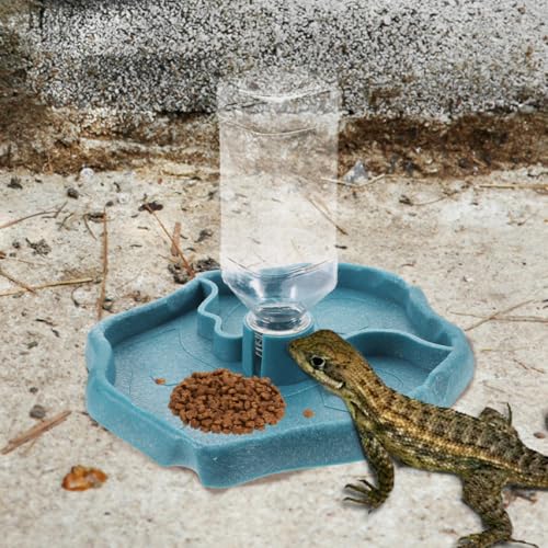 KALLORY Reptile Water Feeder and Food Dish Set, Automatic Water Dispenser with Reservoir, Blue and Dark Brown Plastic Feeding Bowl for Tortoise and Lizard Terrarium