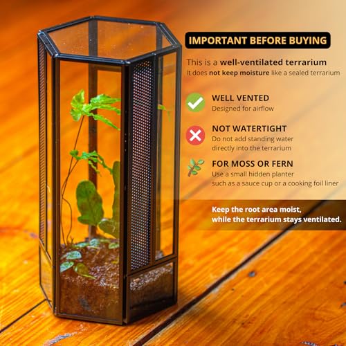NCYP Glass Enclosure Terrarium with Mesh and Door for Small Spiders - Hexagon Shape, Small Mantis Vented Glass Terrarium 4.1'' x 3.6'' x 7.8'', Tabletop Decor, Black (Plants Not Include) - size: 4.1'' x 3.6'' x 7.8''