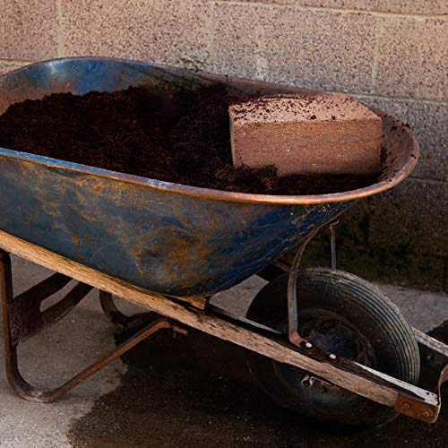 Minute Soil Block - Coco Coir - Compressed - Blocks & Bulk (1 Block) - size: 1 Block
