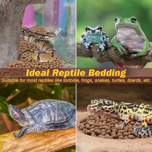 ZeeDix 2 LBS Reptile Substrate Leca Balls - 100% Organic Expanded Clay Pebbles, Ideal Bioactive Terrarium Clay Balls Substrate for Reptile Terrarium Tank, Bearded Dragon, Tortoise, Gecko, Snake & Frog - color: 2LBS