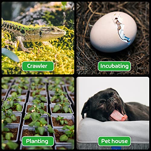 Simple Deluxe 150W Ceramic Heat Emitter Reptile Heat Lamp Bulb No Light Emitting Brooder Coop Heater for Amphibian Pet Terrarium Chameleon Lizards Snakes & Incubating Chicken