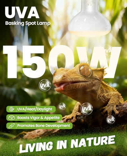KINDEEP 150W Reptile Heat Lamp Bulbs: Reptile Day & Night Basking Spot Bulb Combo Amphibian Infrared Heat Lamp Bulb - UVA Basking Spot Daylight Heating Light Bulb for Lizard Tortoise Snake