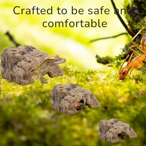 Reptile Hide for Leopard Gecko,Bearded Dragon,Ball Python & Tortoise – Terrarium Habitat Décor, Snake & Lizard Hideout (Resin, Small)