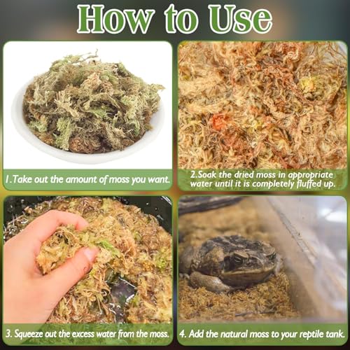 Halatool 3.5OZ Natural Sphagnum Moss for Reptiles Premium Reptile Moss Ideal Terrarium Moss for Box Turtles Hermit Crabs Leopard Gecko Snakes and Hamsters Enclosure - size: 3.5oz