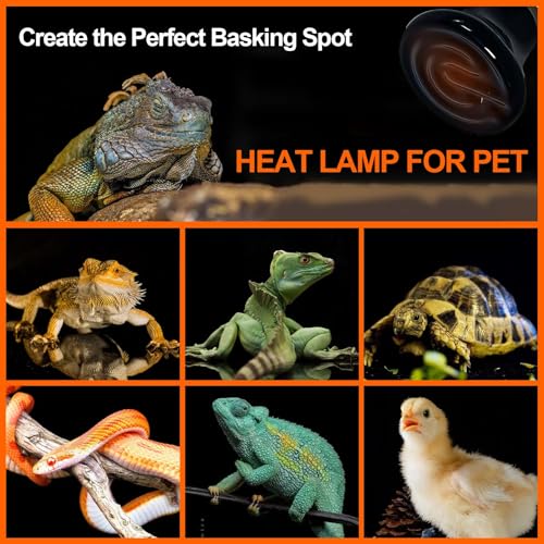 BNOSDM Reptile 100W Ceramic Heat Emitter,4 Pack Reptile Heat Lamp Bulbs,Ceramic Heat Lamp,Brooder Coop Heater for Amphibian Reptile Lizard Turtle Chicken - color: Pack of 4/Black, size: 100 Watts