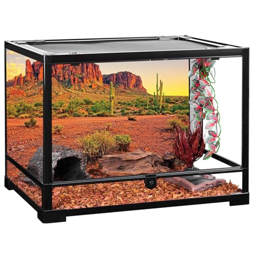 AWERT 36x18 inches Reptile Habitat Background Sky Oasis Mountain Cactus Sun and Desert Terrarium Background Durable Polyester Background - size: 36x18in/90x45cm