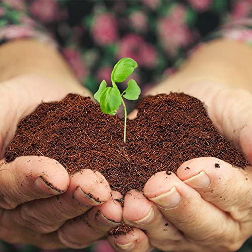 Home and Country Triple Washed Compressed Coco Coir Brick (20 LBS) - Coco Fiber is an Ideal Compost Starter for Your Home Garden. Coco Coir Bricks Provide Organic Alternative to Peat Moss for Plants. - size: 20 Pound