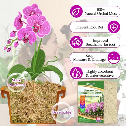 Legigo 3.3lb Natural Sphagnum Moss for Plants, 60QT Long Fiber Orchid Moss Potting Mix, Dried Sphagnum Moss for Plants Indoor, Orchid Repotting, Succulent, Carnivorous Plants, Terrarium and Reptiles - size: 3.3lb