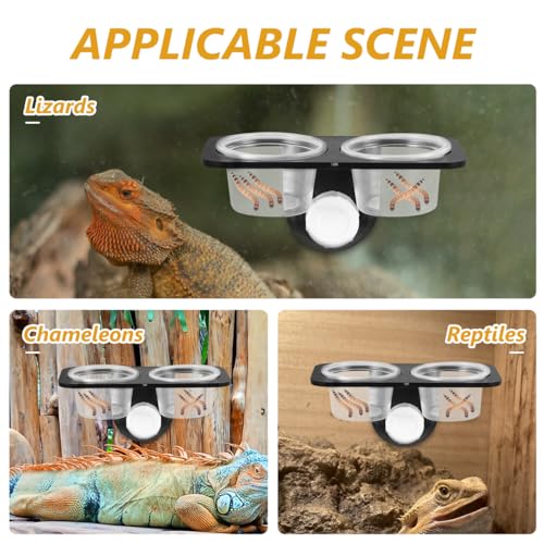 POPETPOP Reptile Feeder Bowl with Suction Cup 4.52X2.36X6.49In Water and Food Container for Lizard Turtle Gecko Chameleon Scorpion Tank Accessories