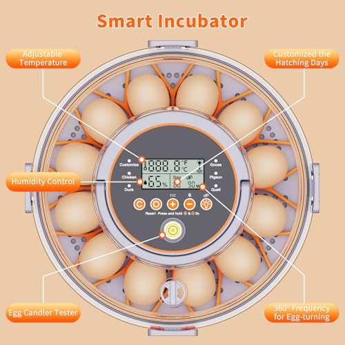 Egg Incubators for Hatching Eggs for Home, Classroom and Lab | 12 Incubator for Chicken Eggs,Duck,Goose,Quail,Snake,Egg Incubator with Automatic Egg Turning and Humidity Control