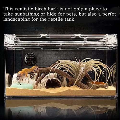 Reptile Hides and Caves Birch Tree Bark Trunk Habitats Decor Aquarium Decoration Wood for Lizard Geckos Snake Spiders Frogs Turtle (Medium) - style: Medium