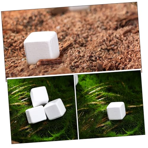 BESPORTBLE 30pcs Natural for Reptiles and Amphibians and Growth for Tortoise Turtle Lizard Frog and Chameleon Enrich Water Quality and Strengthen Immunity