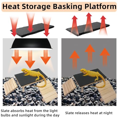 Bearded Dragon Basking Platform with Climbing Ramp,Leopard Gecko Basking Platform with Slate Stone,Reptile Basking Rock Hide Cave Climbing Accessories for Turtle,Snake,Lizard(9.8×5.9×3.9IN) - size: S - 9.8"D x 5.9"W x 4.7"H