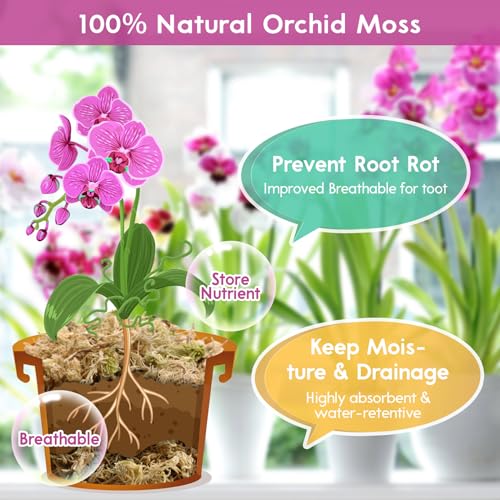 Riare 3.5 OZ Premium Sphagnum Moss for Plants- 4QT Natural Long Fiber Sphagnum Peat Moss Dried, Plants Moss Orchid Potting Mix for Orchids Repotting, Carnivorous Succulent Potted Plants and Reptiles - size: 4QT/3.5oz