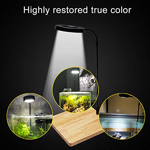 Full Spectrum LED Aquarium Light, 360-degree Adjustable LED Light with Bamboo Board, Miniature Landscape USB Powered Lamp for Plant, Fish Tank, Potted Plants(Size:S) - size: S